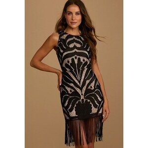 Lulu's Black Lace Fringe Mini Dress